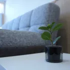 アクセス